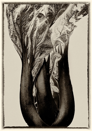 art of Charlie Kreitler